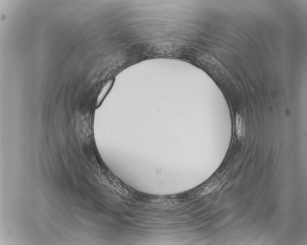 X0000060271107200511181412