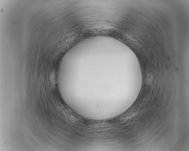 X0000060271108200511181412