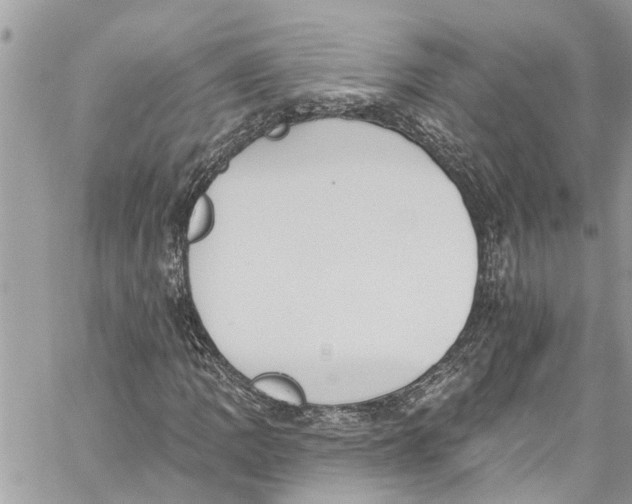 X0000060271109200511181412