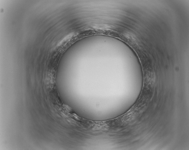 X0000060271110200511181412