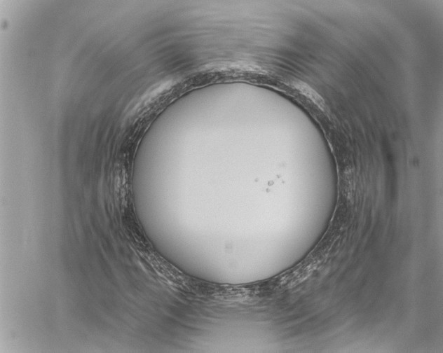 X0000060271111200511181412