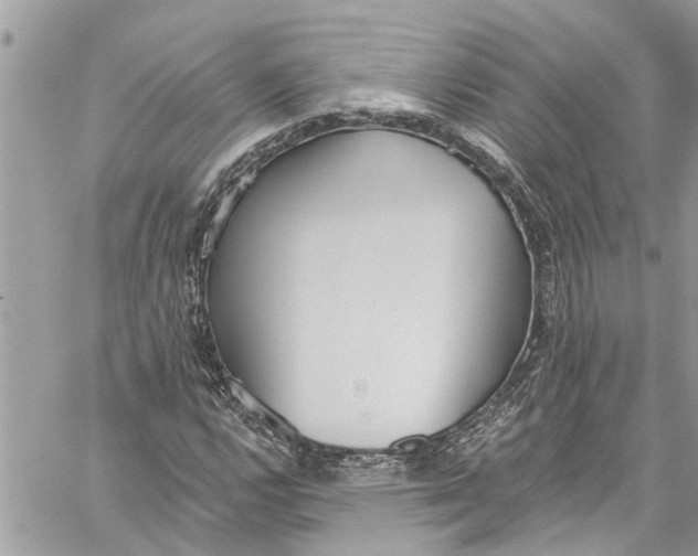 X0000060271112200511181412