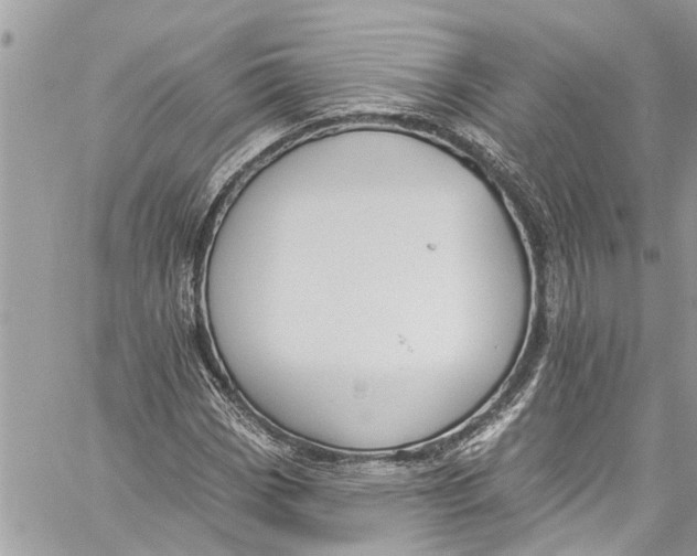 X0000060271113200511181412