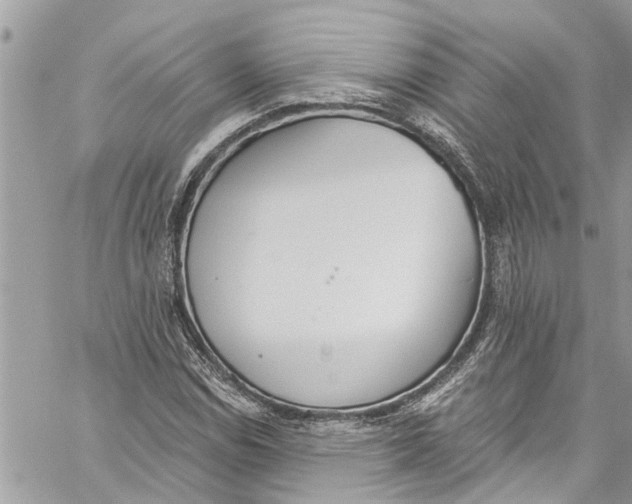 X0000060271114200511181412