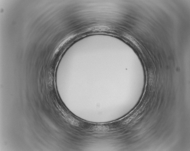 X0000060271115200511181412