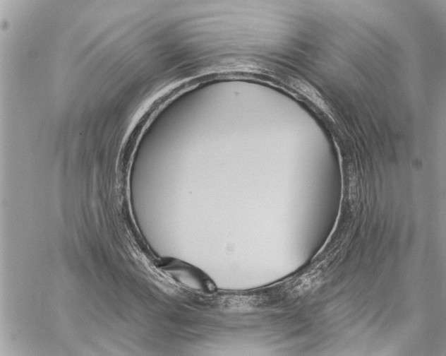 X0000060271116200511181412