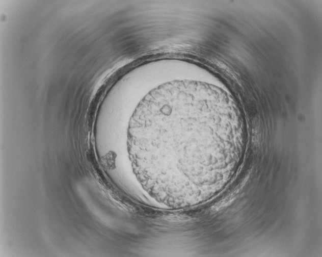 X0000060271117200511181412