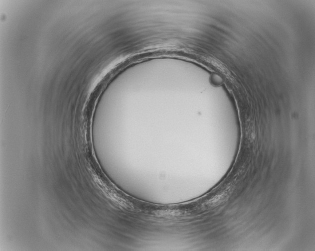 X0000060271118200511181412