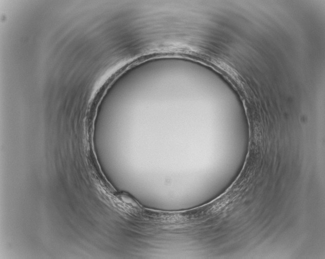 X0000060271120200511181412