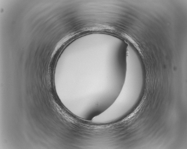 X0000060271122200511181412