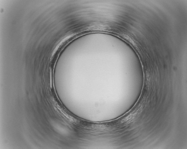 X0000060271123200511181412