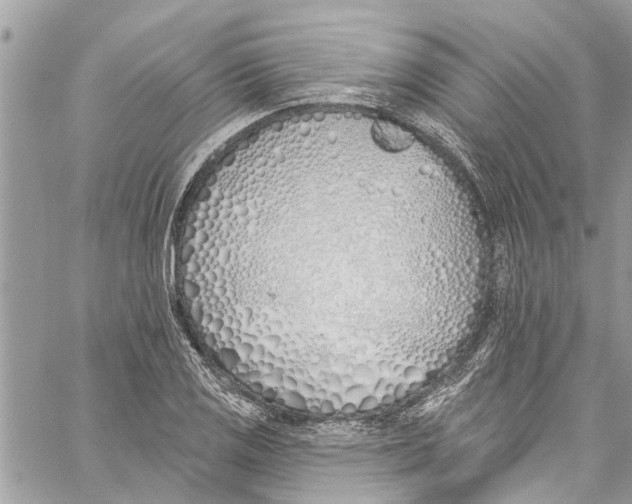 X0000060271125200511181412