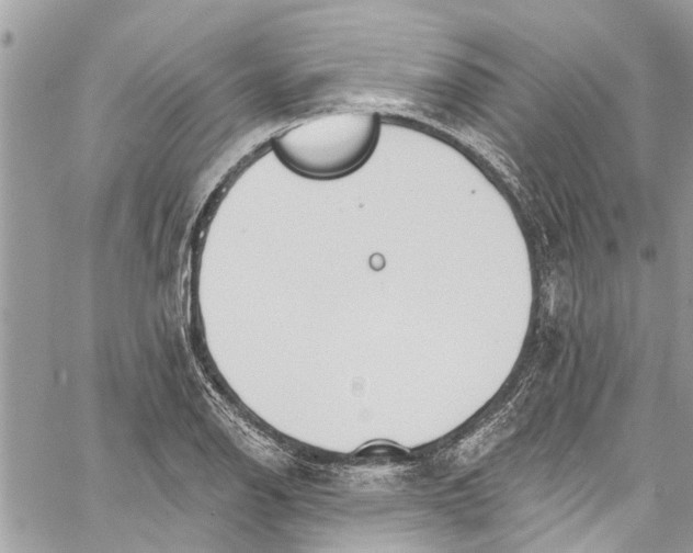 X0000060271126200511181412