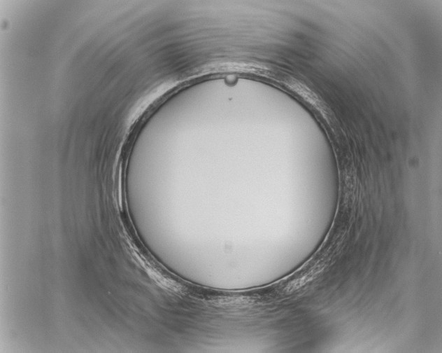 X0000060271127200511181413