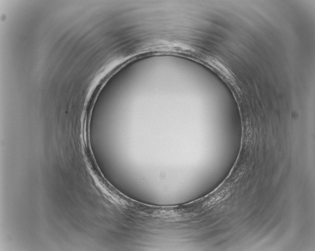 X0000060271128200511181413