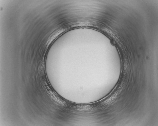 X0000060271129200511181413