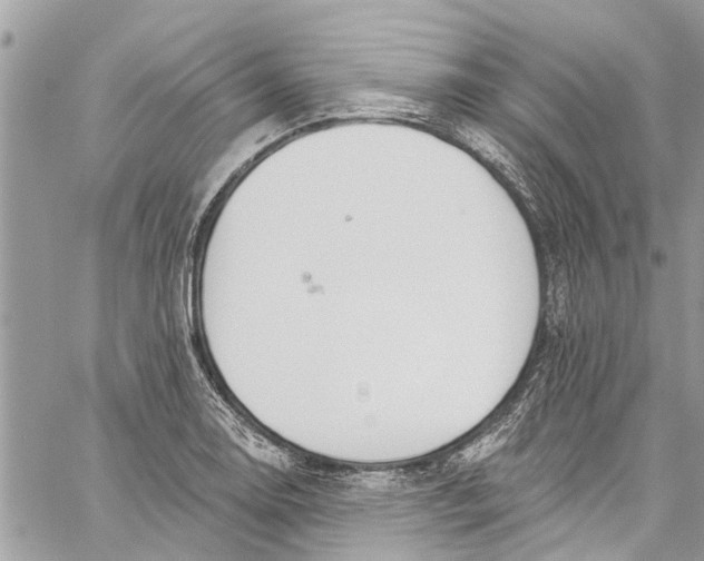 X0000060271130200511181413