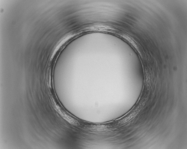 X0000060271131200511181413