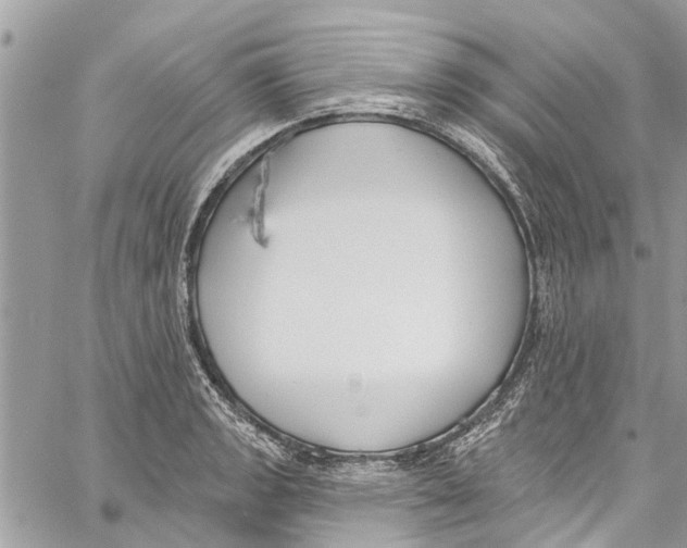 X0000060271133200511181413