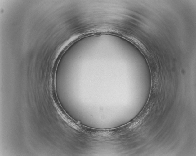 X0000060271134200511181413