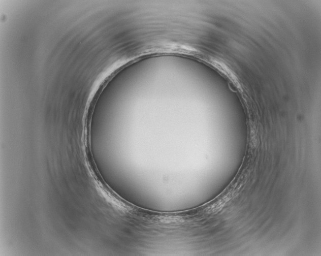 X0000060271136200511181413