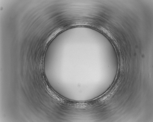 X0000060271137200511181413