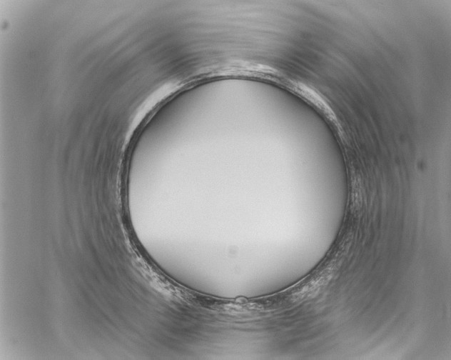 X0000060271138200511181413