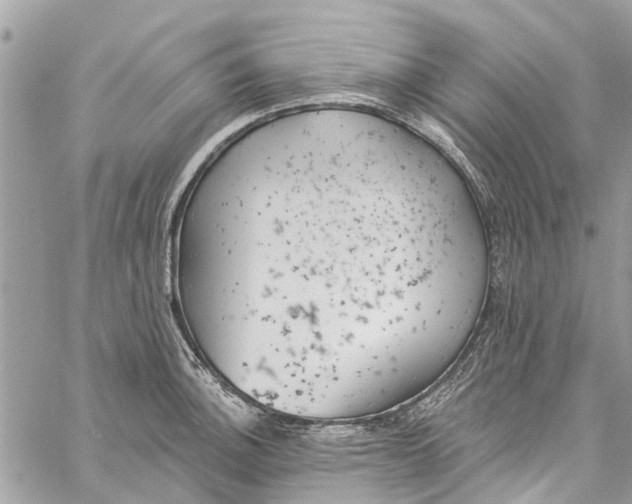 X0000060271140200511181413