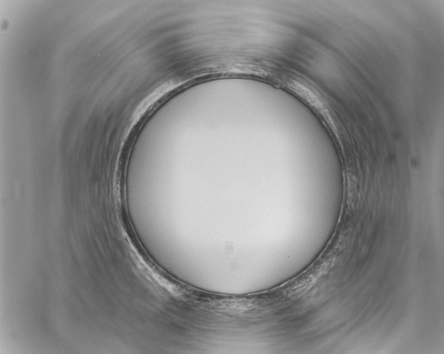 X0000060271141200511181413