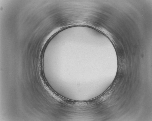 X0000060271142200511181413