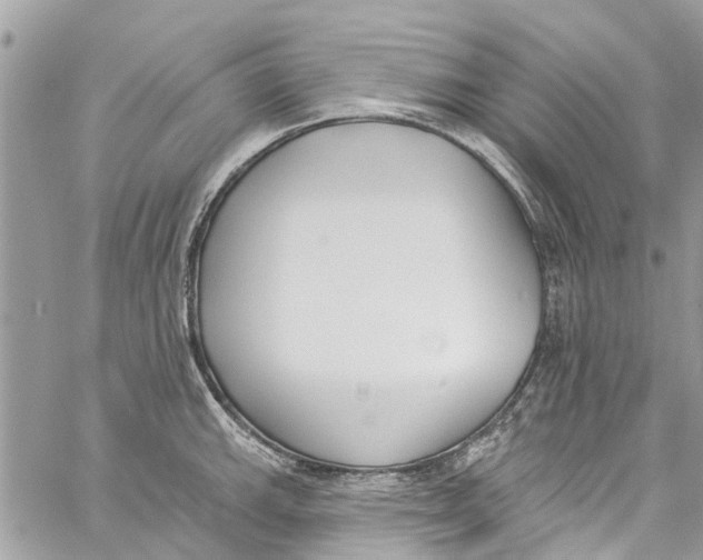 X0000060271143200511181413