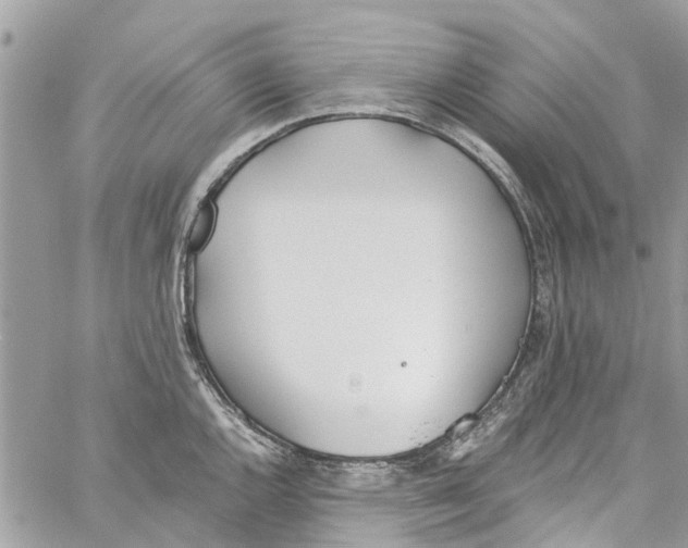 X0000060271144200511181413