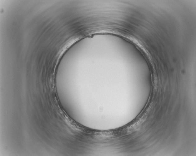 X0000060271145200511181413