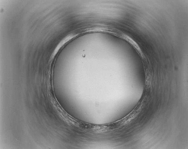 X0000060271146200511181413