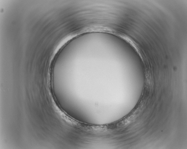 X0000060271147200511181413