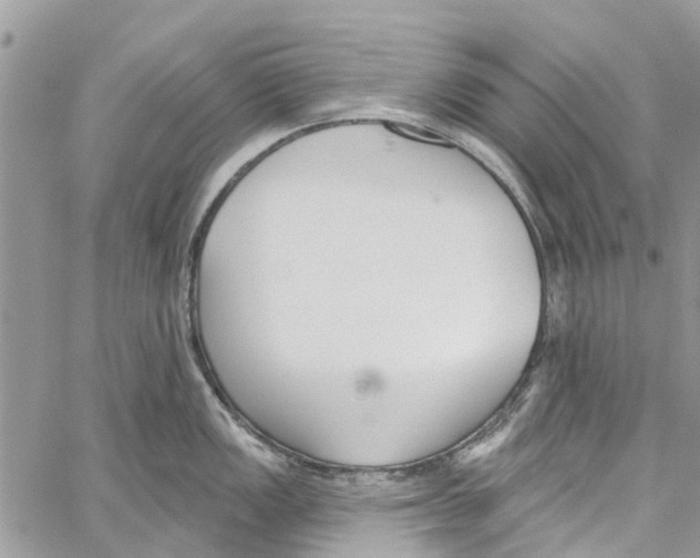 X0000060271149200511181413