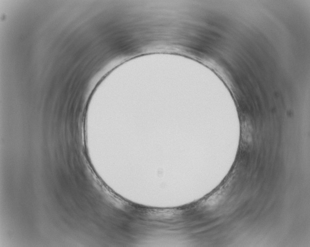 X0000060271150200511181413