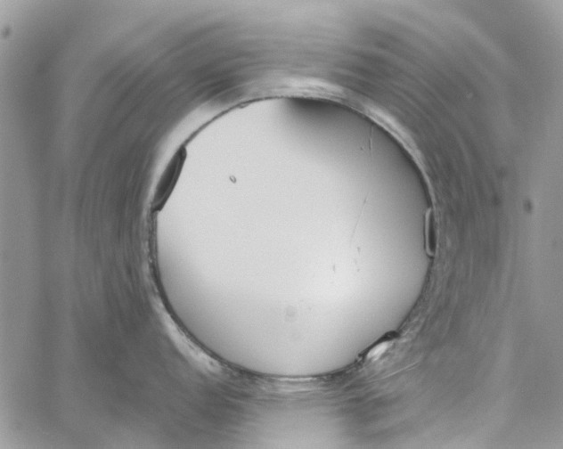 X0000060271152200511181413