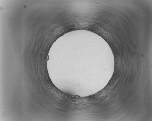 X0000060271153200511181412