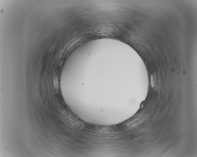 X0000060271155200511181412