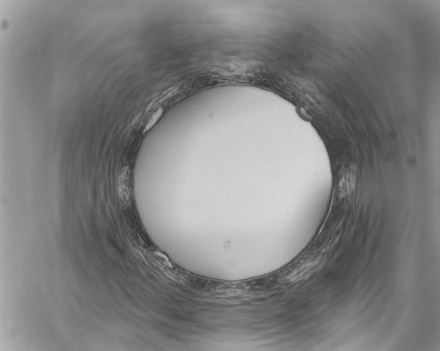 X0000060271156200511181412