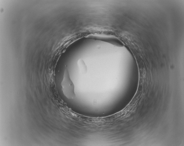 X0000060271157200511181412