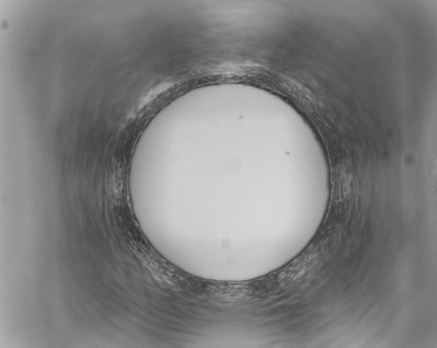 X0000060271158200511181412