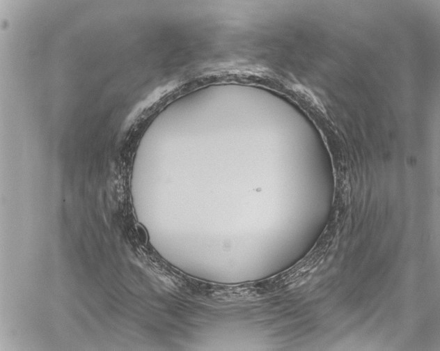 X0000060271159200511181412