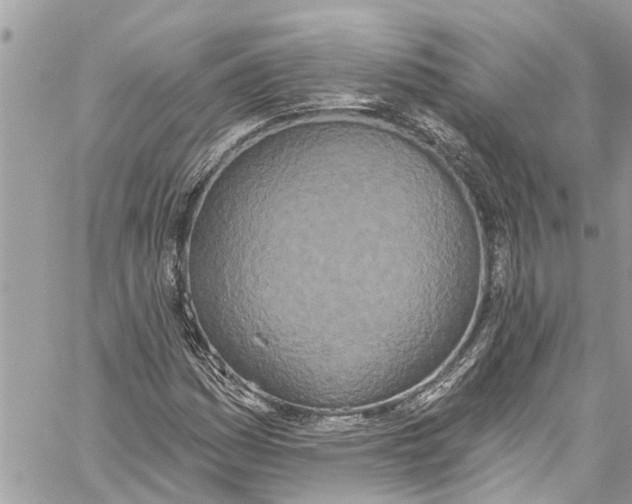 X0000060271161200511181412