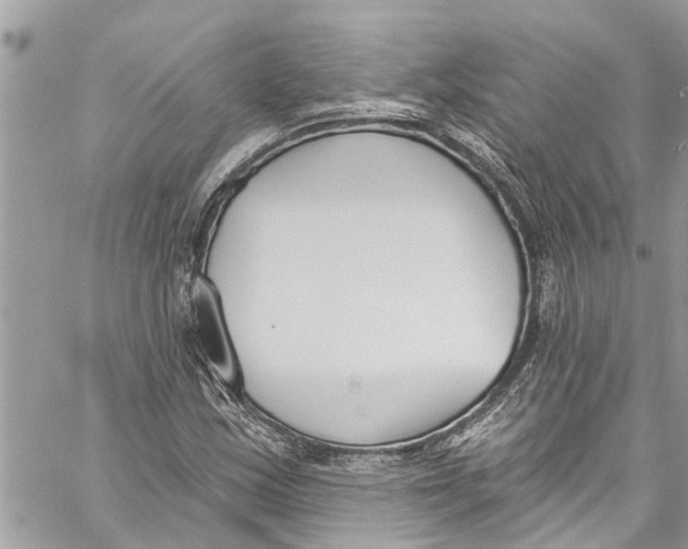 X0000060271163200511181412