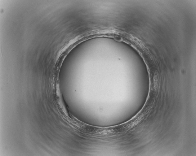 X0000060271165200511181412