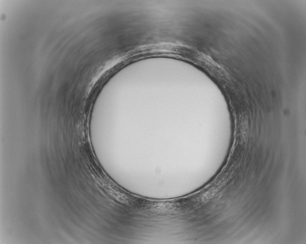 X0000060271166200511181412