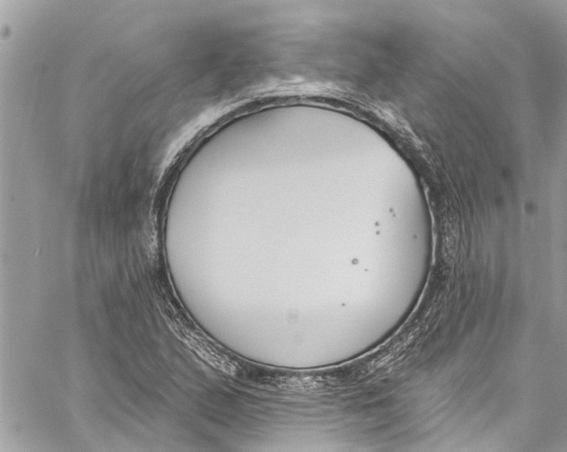 X0000060271167200511181412