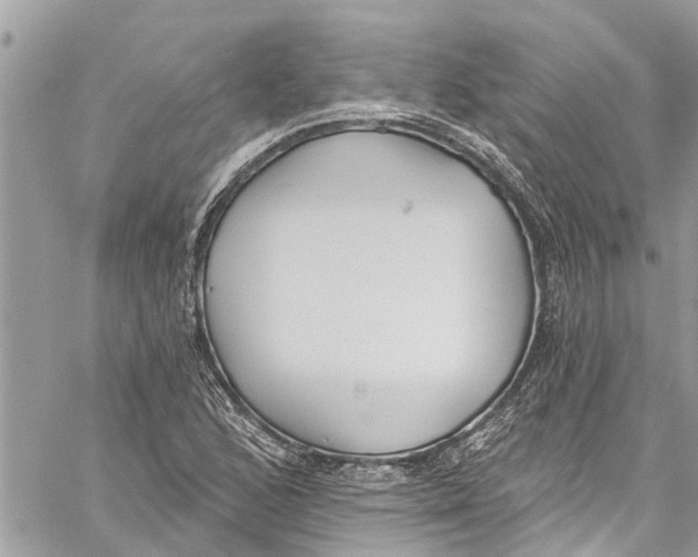 X0000060271168200511181412